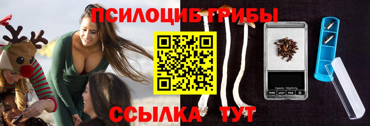 Псилоцибиновые грибы мухоморы Аргун